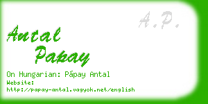 antal papay business card